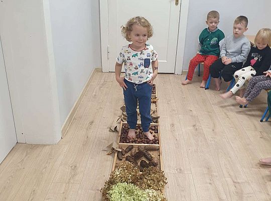 Gr. II Nasze jesienne aktywności- sensoryka mała i duża