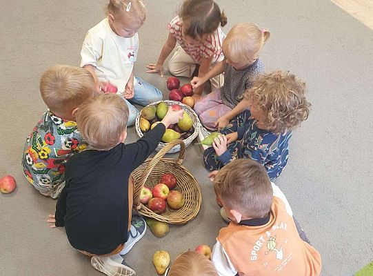 Gr. II Nasze jesienne aktywności- sensoryka mała i duża