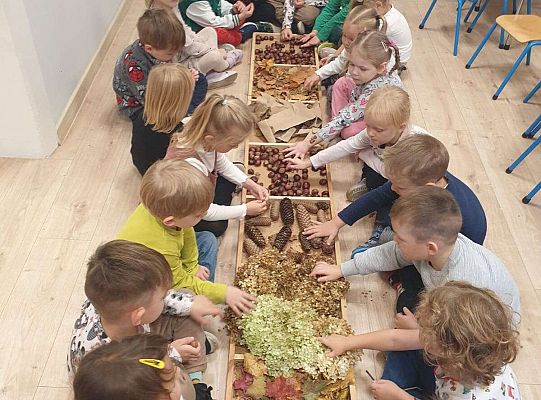 Gr. II Nasze jesienne aktywności- sensoryka mała i duża