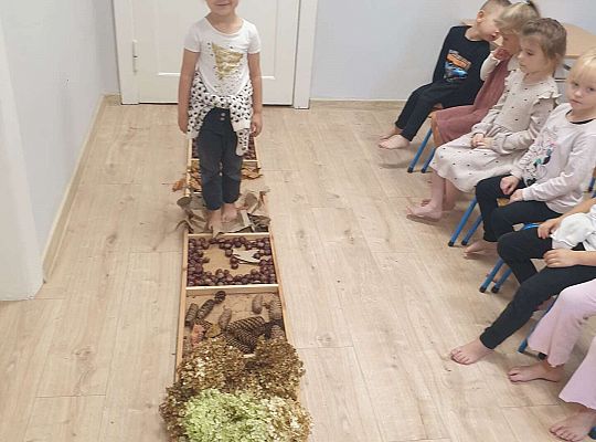 Gr. II Nasze jesienne aktywności- sensoryka mała i duża