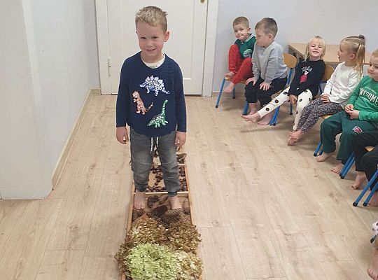 Gr. II Nasze jesienne aktywności- sensoryka mała i duża
