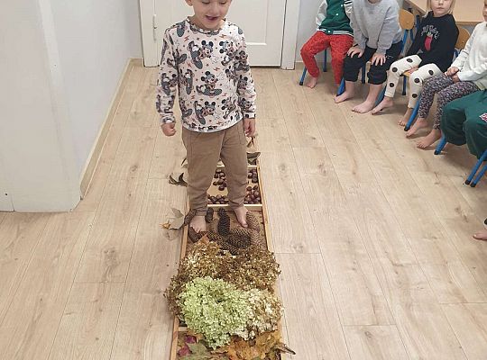 Gr. II Nasze jesienne aktywności- sensoryka mała i duża