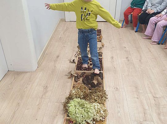 Gr. II Nasze jesienne aktywności- sensoryka mała i duża