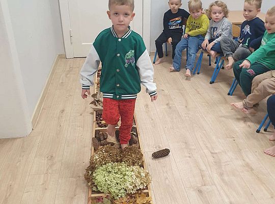Gr. II Nasze jesienne aktywności- sensoryka mała i duża