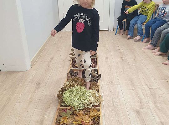 Gr. II Nasze jesienne aktywności- sensoryka mała i duża
