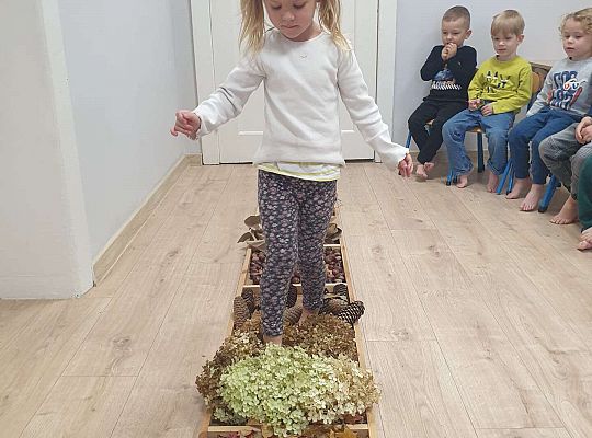 Gr. II Nasze jesienne aktywności- sensoryka mała i duża