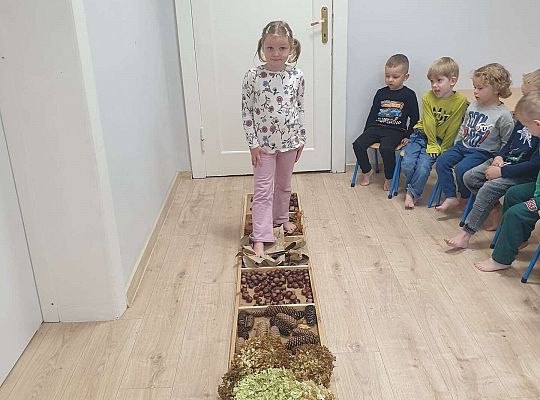 Gr. II Nasze jesienne aktywności- sensoryka mała i duża