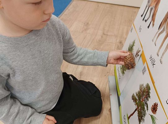 Gr. II Jesień w lesie