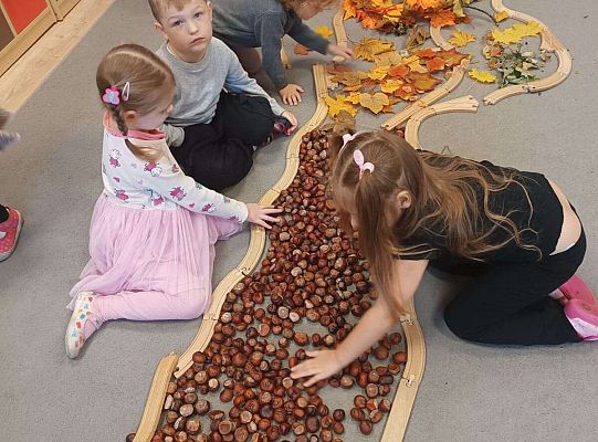 Gr. II Jesień w lesie