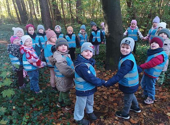 Gr. II Jesień w lesie