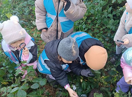 Gr. II Jesień w lesie