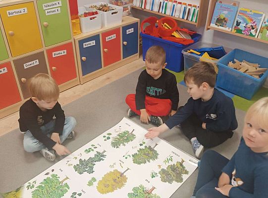 Gr. II Jesień w lesie