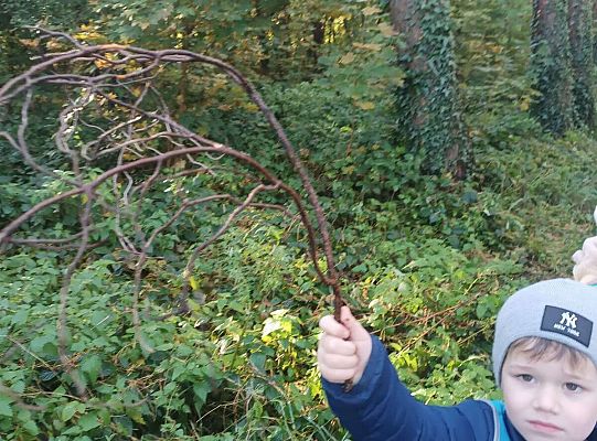 Gr. II Jesień w lesie