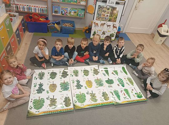 Gr. II Jesień w lesie