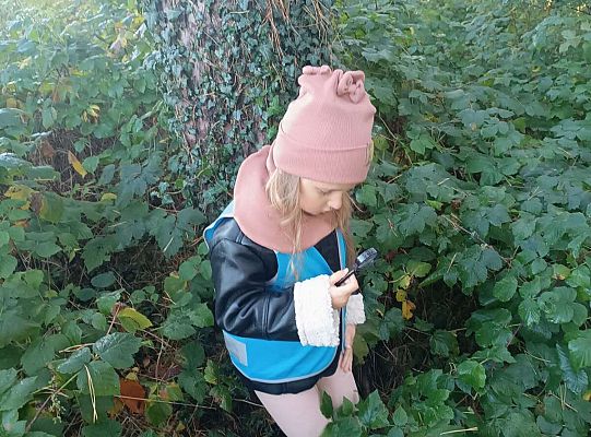 Gr. II Jesień w lesie