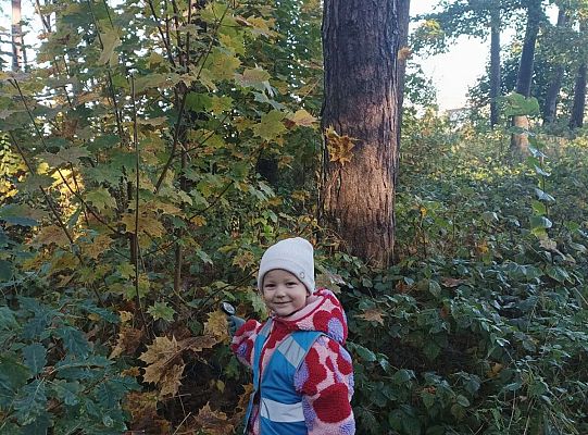 Gr. II Jesień w lesie