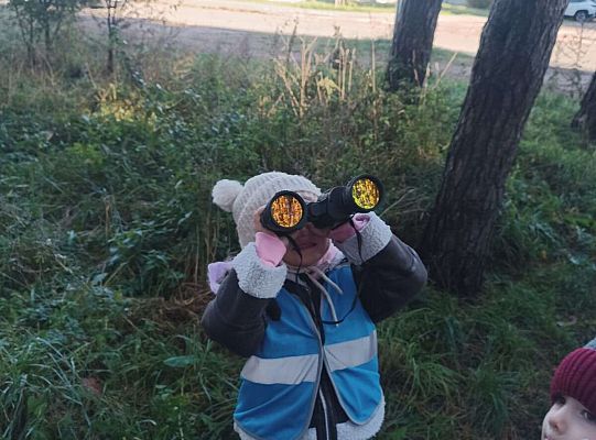 Gr. II Jesień w lesie