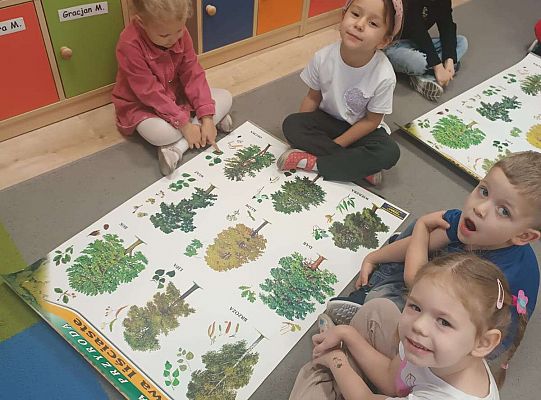 Gr. II Jesień w lesie