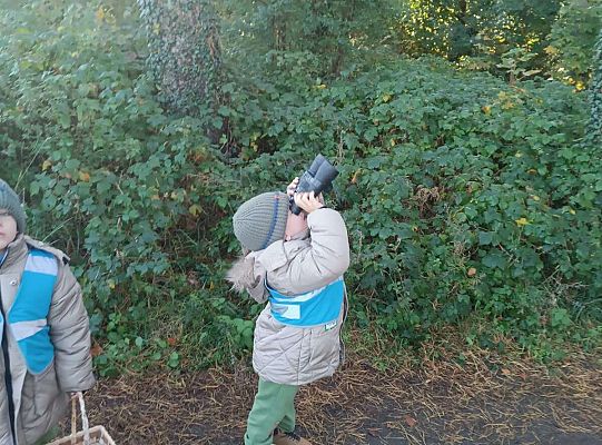 Gr. II Jesień w lesie