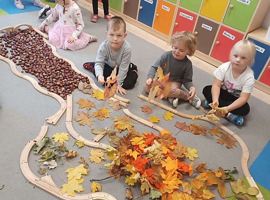 Gr. II Jesień w lesie