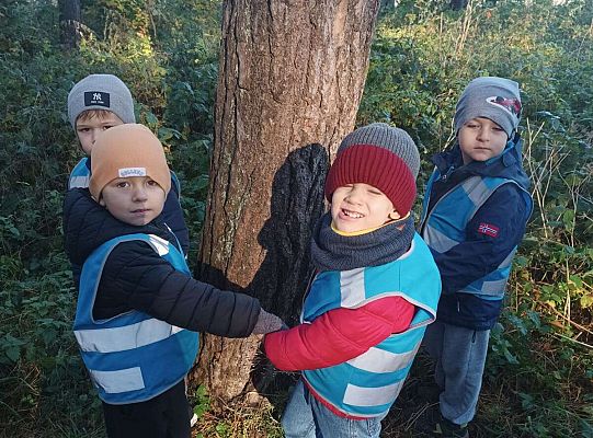 Gr. II Jesień w lesie