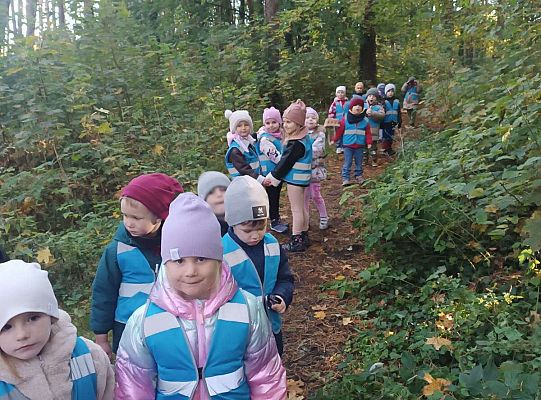 Gr. II Jesień w lesie