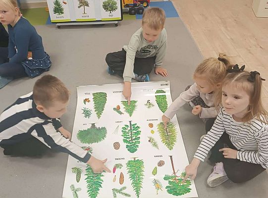 Gr. II Jesień w lesie