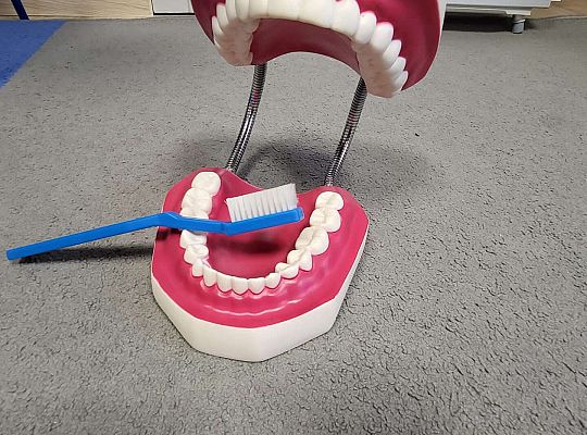 Gr.III Klub Mleczaka