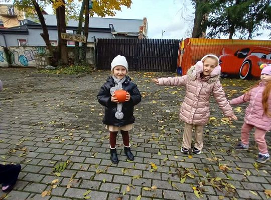 Gr.IV Jesienne zabawy rytmiczne z tatą Ali