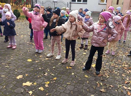 Gr.IV Jesienne zabawy rytmiczne z tatą Ali