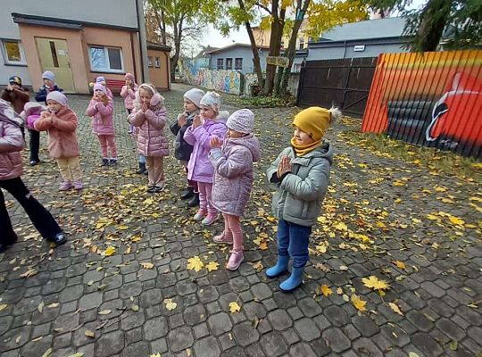 Gr.IV Jesienne zabawy rytmiczne z tatą Ali