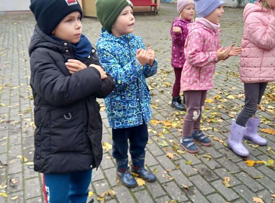 Gr.IV Jesienne zabawy rytmiczne z tatą Ali