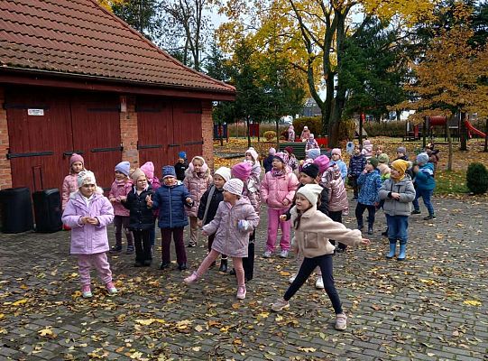 Gr.IV Jesienne zabawy rytmiczne z tatą Ali