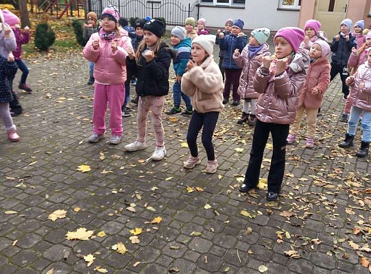 Gr.IV Jesienne zabawy rytmiczne z tatą Ali