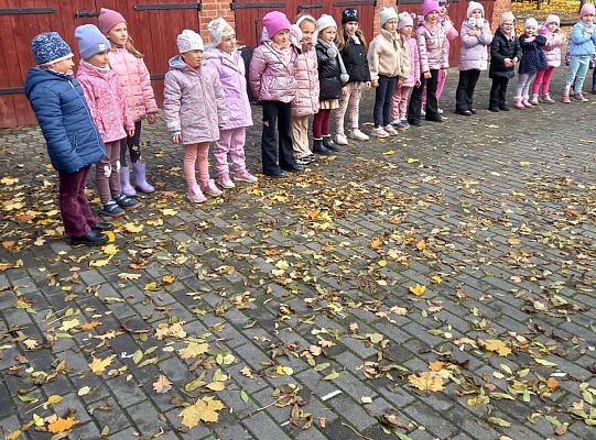 Gr.IV Jesienne zabawy rytmiczne z tatą Ali