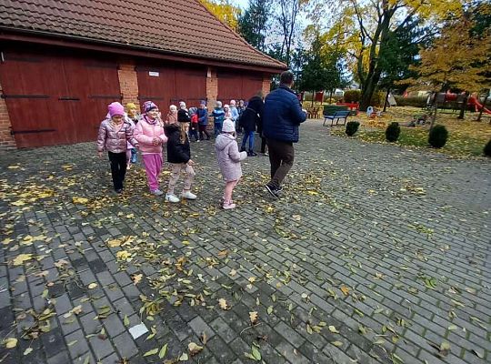 Gr.IV Jesienne zabawy rytmiczne z tatą Ali