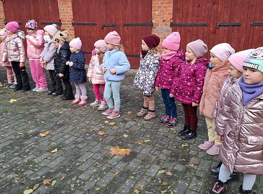 Gr.III Jesienne zabawy rytmiczne z tatą Ali