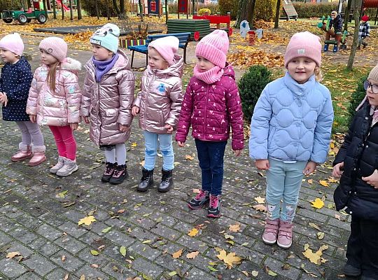 Gr.III Jesienne zabawy rytmiczne z tatą Ali