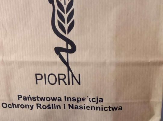 Gr.IV Zajęcia przyrodnicze z mamą Niny