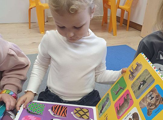 Gr. II Tydzień w świecie bajek.