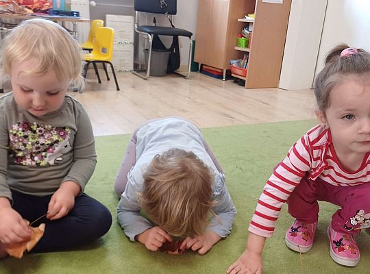 Gr. I W zdrowym ciele zdrowy duch, wie to każdy mały zuch. - Projekt edukacyjny