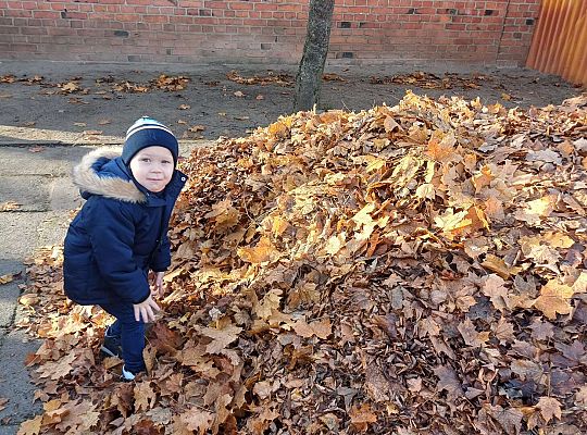 Gr. I W zdrowym ciele zdrowy duch, wie to każdy mały zuch. - Projekt edukacyjny