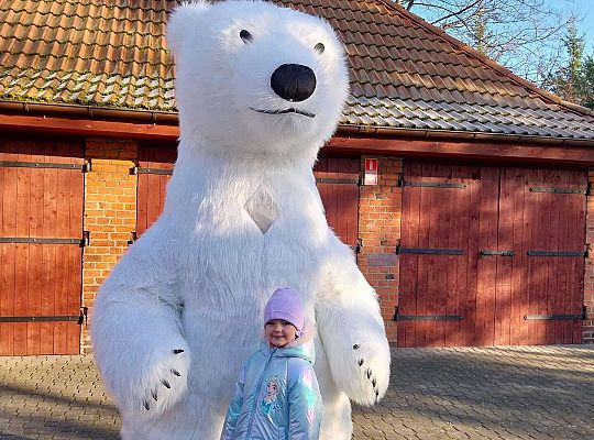 Gr.III Dzień Pluszowego Misia