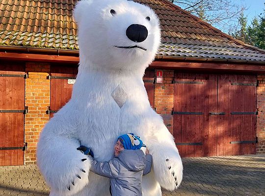 Gr.III Dzień Pluszowego Misia