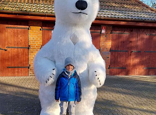 Gr.III Dzień Pluszowego Misia