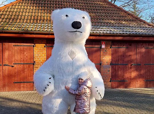 Gr.III Dzień Pluszowego Misia