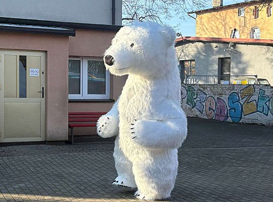 Gr.IV Dzień Pluszowego Misia