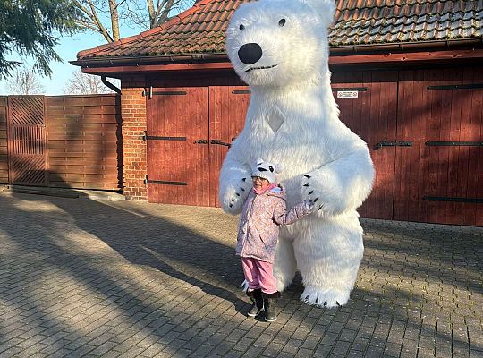 Gr.IV Dzień Pluszowego Misia