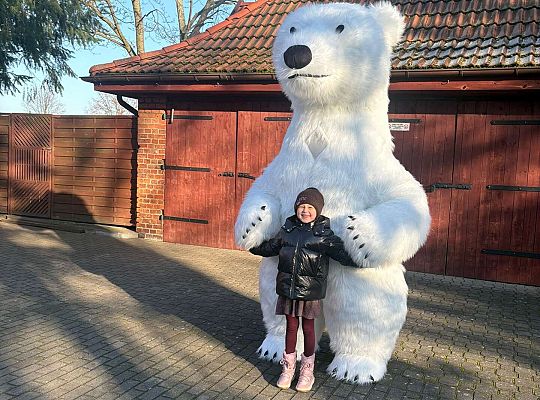 Gr.IV Dzień Pluszowego Misia