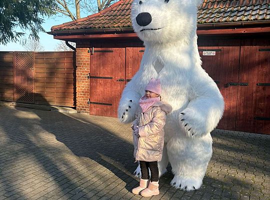 Gr.IV Dzień Pluszowego Misia